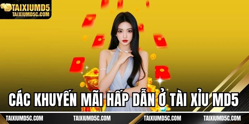 Các khuyến mãi hấp dẫn ở Tài xỉu MD5