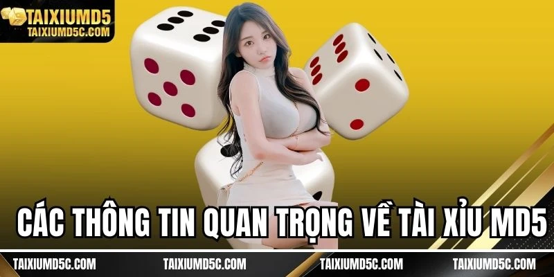Các thông tin quan trọng về Tài xỉu MD5
