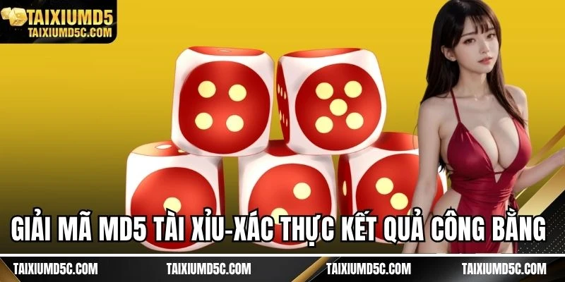 Giải mã MD5 tài xỉu