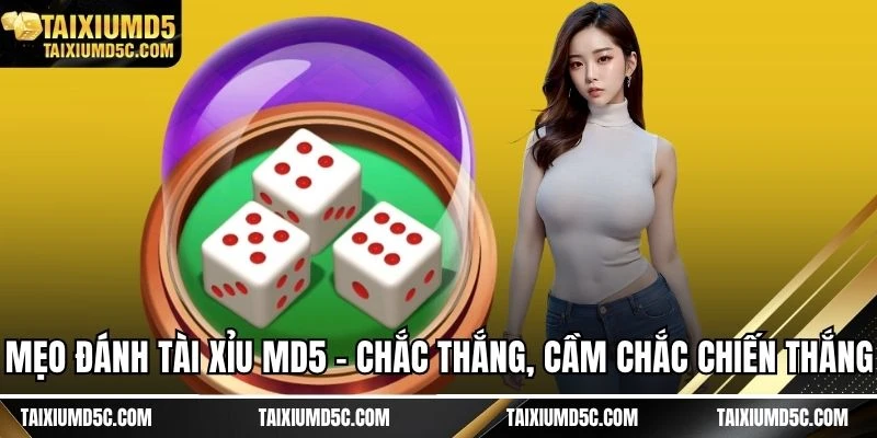 Mẹo đánh tài xỉu MD5