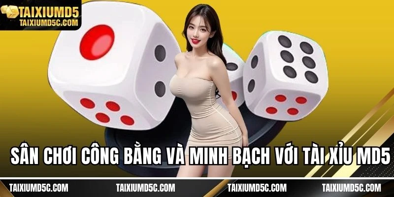 Sân chơi công bằng và minh bạch với Tài xỉu MD5
