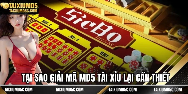 Tại sao giải mã MD5 tài xỉu lại cần thiết