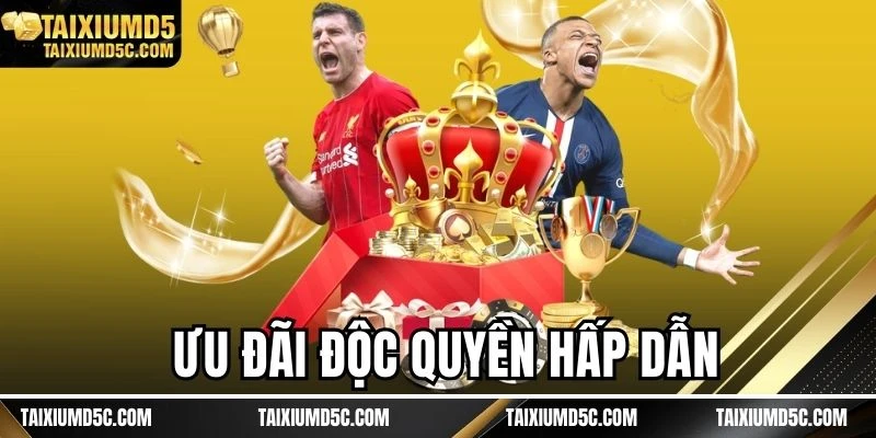 Ưu đãi độc quyền hấp dẫn